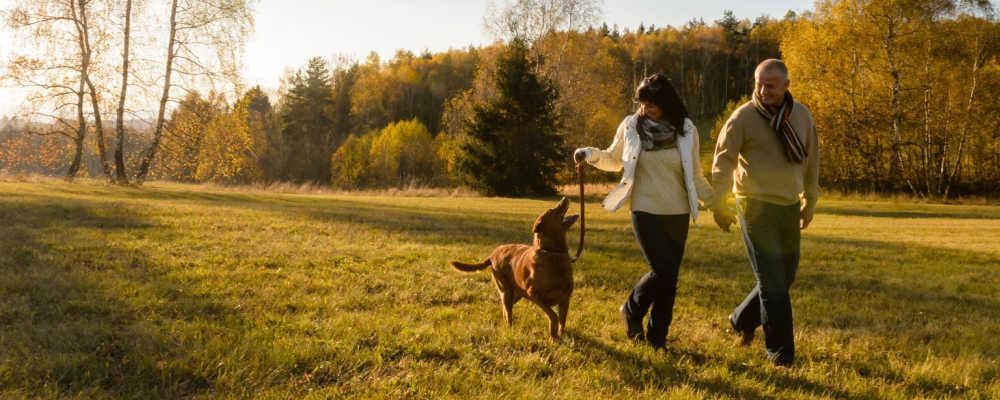 Chicago Estate and Gift Tax Planning Lawyer